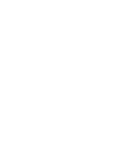The Salty Life